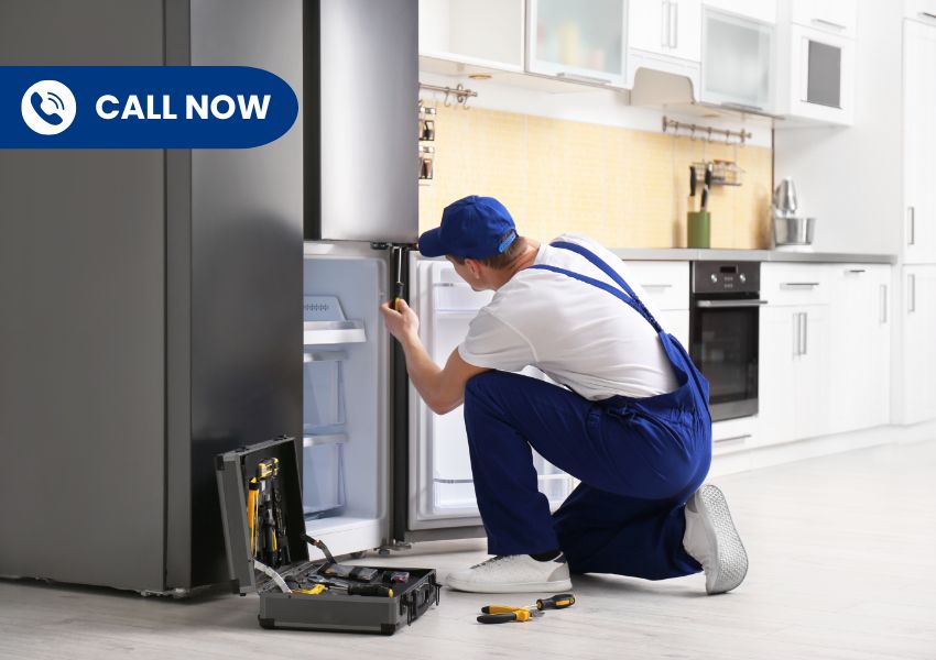 Rhodelia Appliance Repair Company